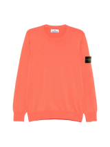 STONE ISLAND - Sweatshirt mit Kompass-Patch in Korallrot